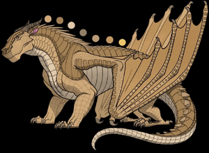 Łotoskrzydły jasny.jpg