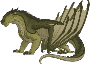 Referencja Traszka.png