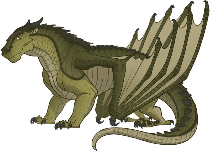 Plik:Referencja Traszka.png