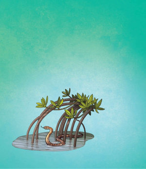 Eszczoskrzydłe 15.png