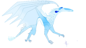 Osowy Lodoskrzydły autorstwa Trójkąta.png