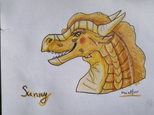 MG 20200731 150328.jpg