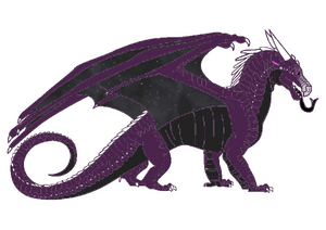 Typowy smok nocny.jpg