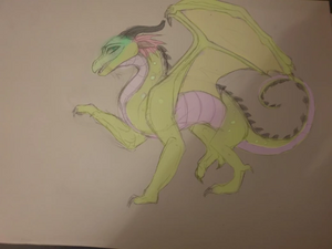 Lilia od jamboi-jai.png