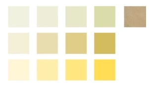 Plik:Kolory łusek piaskoskrzydłych .png