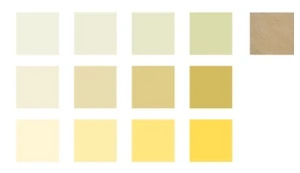 Olory łusek piaskoskrzydłych .png