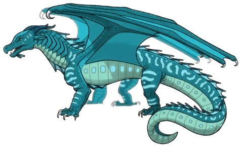 Plik:Typowy Morskoskrzydły.png