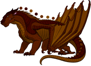 Łotoskrzydły Krokodylica.png