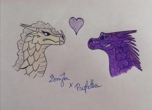 Odać piasko noco żmija profetka.jpg