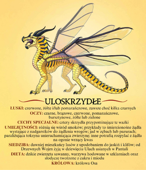 Uloskrzydłe 4.png