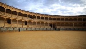 Ypowa arena.jpg