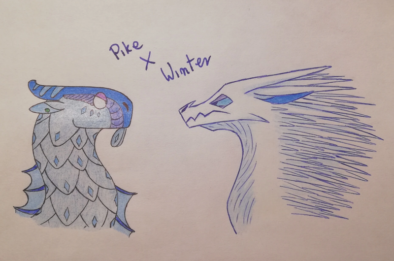 Plik:Odać lodo morsko szczupak zima.jpg