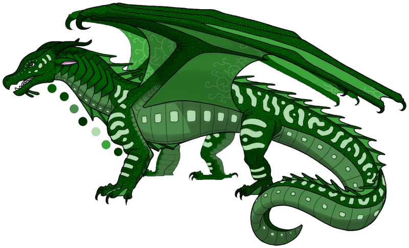 Plik:Morskoskrzydły ciemnozielony.png