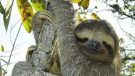 Plik:V3rktkqTURBXy9mNjE3NDYxOGU2ZjFmYzVhNDM4MmU4OTY2NDZjN2M1NC5qcGVnkpUDAEXNAcLM ZUCAM0B9MLD.jpg