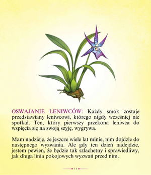 Eszczoskrzydłe 18.png